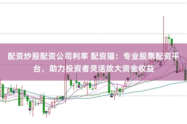 配资炒股配资公司利率 配资猫：专业股票配资平台，助力投资者灵活放大资金收益