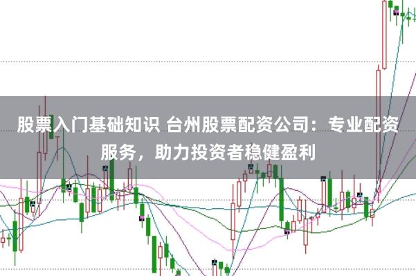 股票入门基础知识 台州股票配资公司：专业配资服务，助力投资者稳健盈利