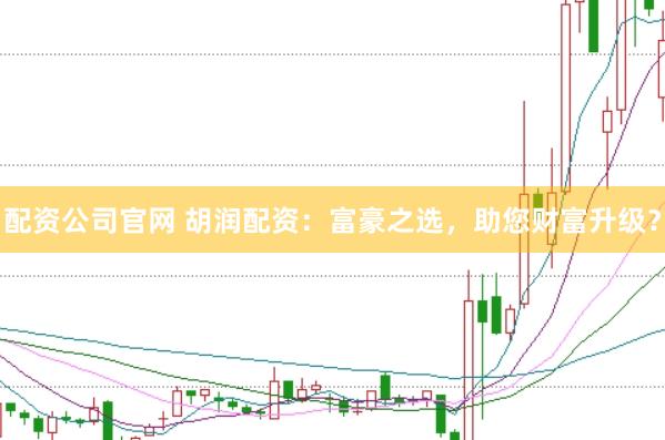 配资公司官网 胡润配资：富豪之选，助您财富升级？