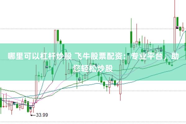 哪里可以杠杆炒股 飞牛股票配资：专业平台，助您轻松炒股