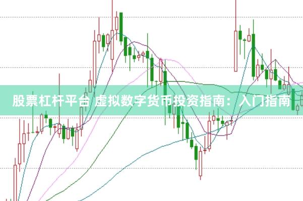 股票杠杆平台 虚拟数字货币投资指南：入门指南