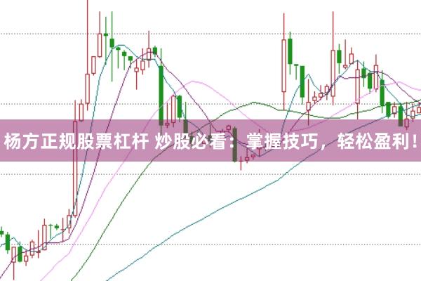 杨方正规股票杠杆 炒股必看：掌握技巧，轻松盈利！