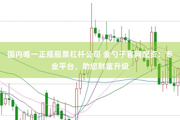 国内唯一正规股票杠杆公司 金勺子官网配资：专业平台，助您财富升级