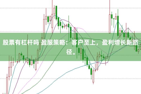 股票有杠杆吗 盈服策略：客户至上，盈利增长新路径。