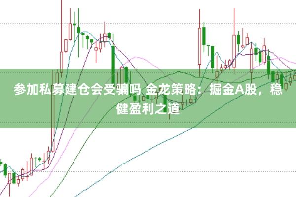 参加私募建仓会受骗吗 金龙策略：掘金A股，稳健盈利之道