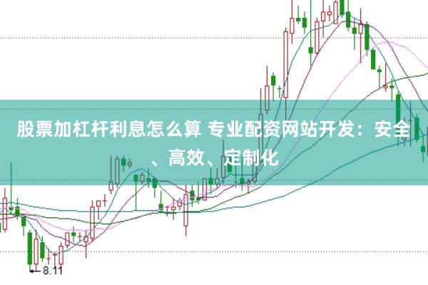股票加杠杆利息怎么算 专业配资网站开发：安全、高效、定制化