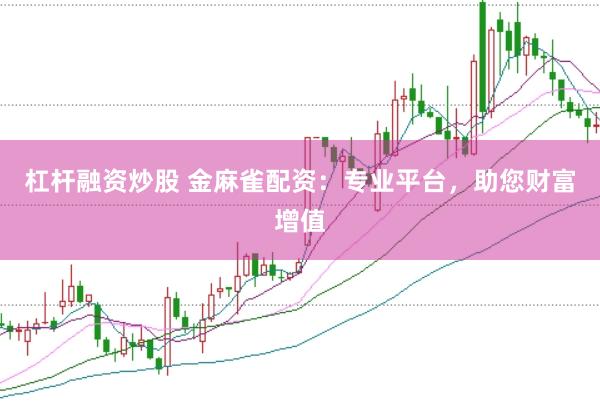 杠杆融资炒股 金麻雀配资：专业平台，助您财富增值