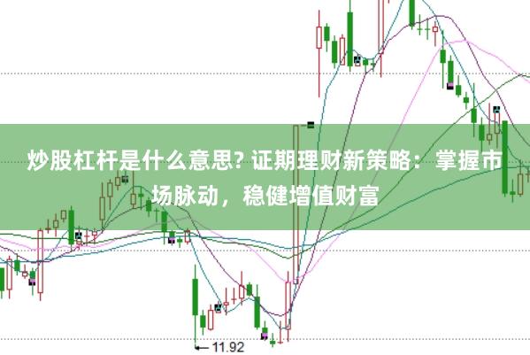 炒股杠杆是什么意思? 证期理财新策略：掌握市场脉动，稳健增值财富