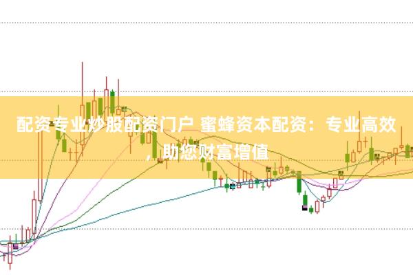 配资专业炒股配资门户 蜜蜂资本配资：专业高效，助您财富增值