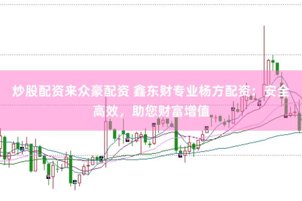 炒股配资来众豪配资 鑫东财专业杨方配资：安全高效，助您财富增值