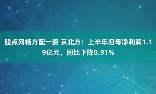 股点网杨方配一资 京北方：上半年归母净利润1.19亿元，同比下降0.91%