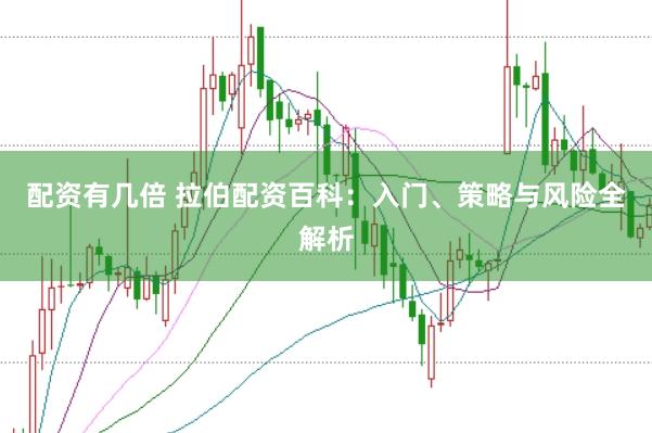 配资有几倍 拉伯配资百科：入门、策略与风险全解析
