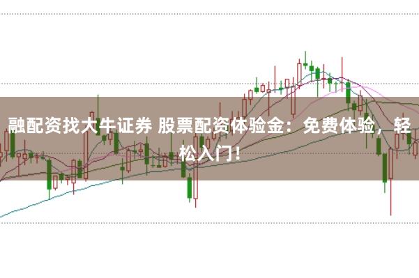 融配资找大牛证券 股票配资体验金：免费体验，轻松入门！