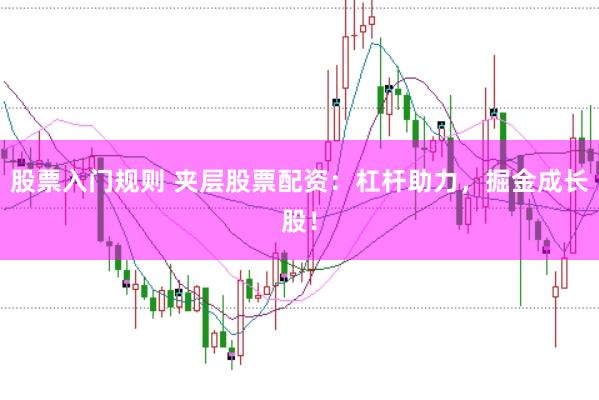 股票入门规则 夹层股票配资：杠杆助力，掘金成长股！
