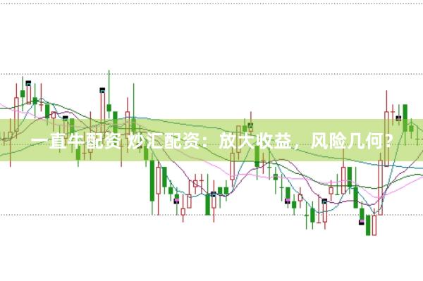 一直牛配资 炒汇配资：放大收益，风险几何？