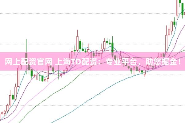 网上配资官网 上海TD配资：专业平台，助您掘金！