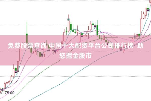 免费股票查询 中国十大配资平台公司排行榜  助您掘金股市