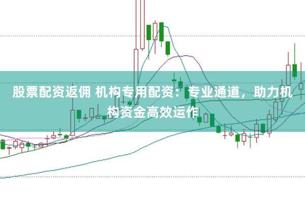 股票配资返佣 机构专用配资：专业通道，助力机构资金高效运作