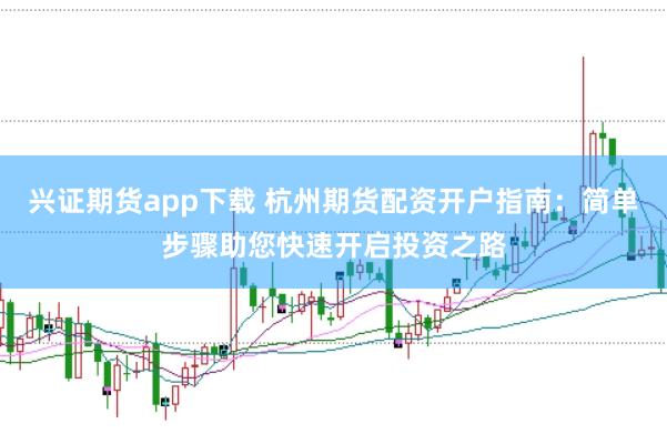 兴证期货app下载 杭州期货配资开户指南：简单步骤助您快速开启投资之路
