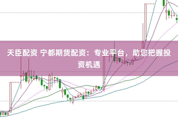 天臣配资 宁都期货配资：专业平台，助您把握投资机遇