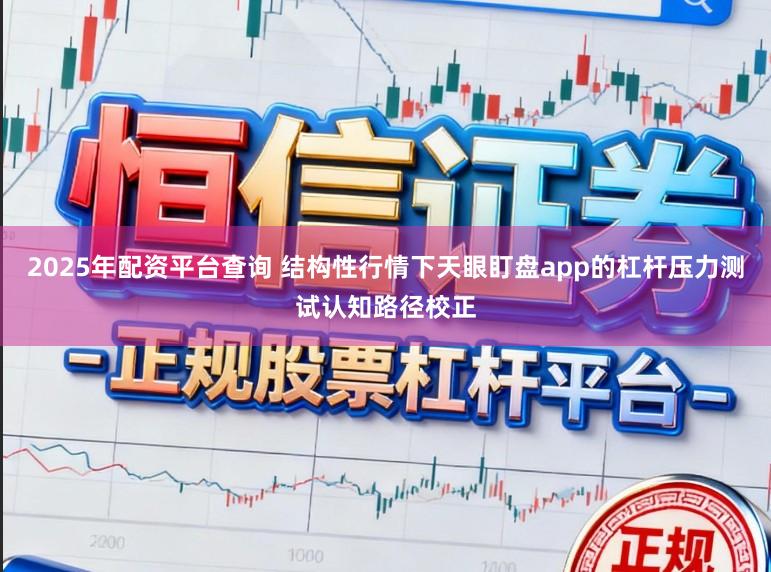 2025年配资平台查询 结构性行情下天眼盯盘app的杠杆压力测试认知路径校正